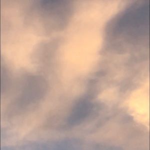 Meet your Posher, Joanne